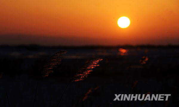  Пленительные зимние пейзажи в районе Канас Синьцзяна