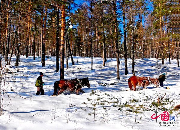 Сказочное село Бэйцзицунь на севере Китая