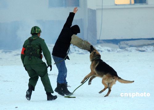 Проведение антитеррористических учений в г. Инин Синьцзяна 