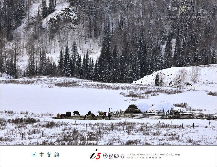 Зимние пейзажи в селе Хэму Синьцзяна