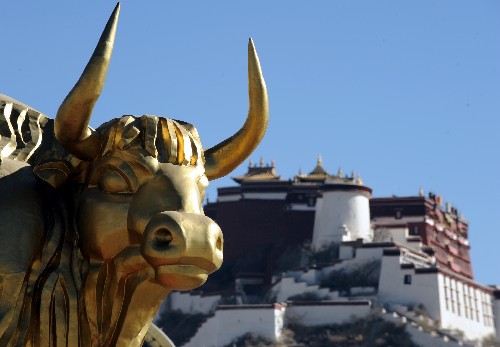В год Быка як популярен в Тибете