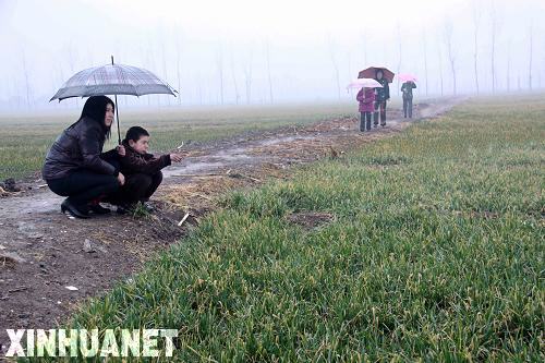 Мелкие осадки смягчили засуху в Китае
