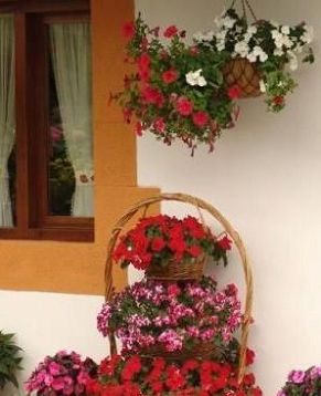 Пусть свежие цветы всегда будут возле вашего дома!