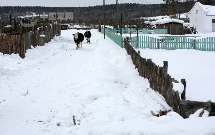 Деревня Логухэцунь на истоке реки Хэйлунцзян 