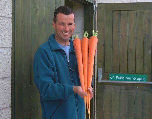 Страшные морковки!