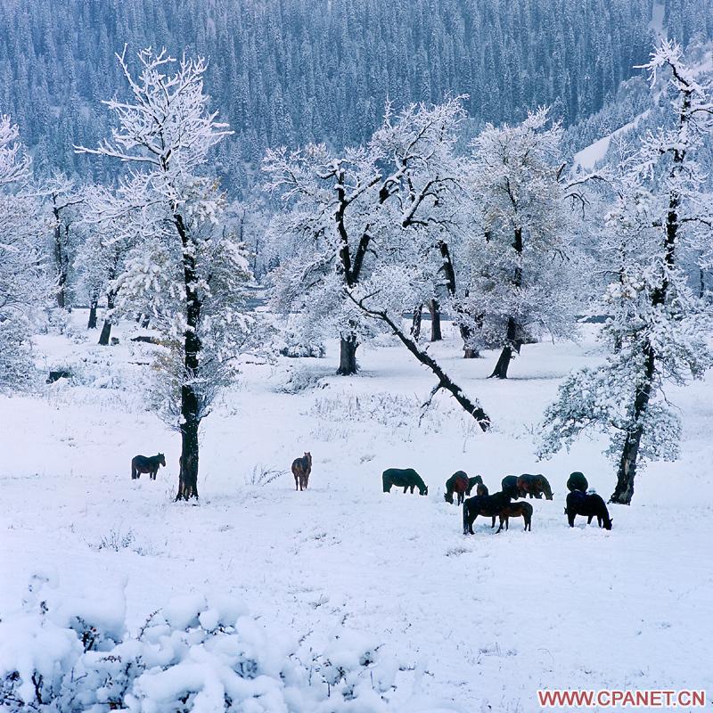 Пейзажи, снятые китайским фотографом Чэн Шаохуэем 10