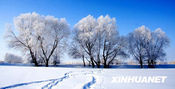 Красивая изморозь в Алтайском районе Синьцзян-Уйгурского автономного района 3