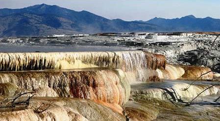 Mammoth Hot Springs