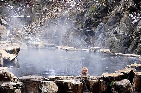 Jigokudani Hot Springs