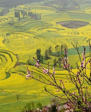 Весна в провинции Юньнань