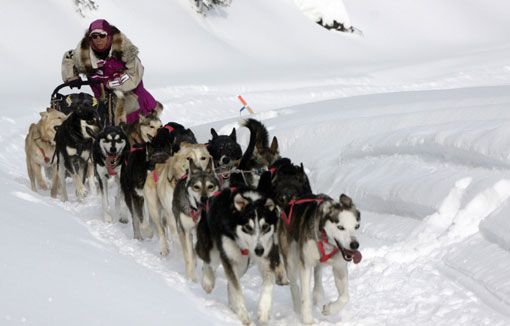 Прекрасные фотографии с соревнований по гонкам на собачьих упряжках, прошедших на Аляске 10