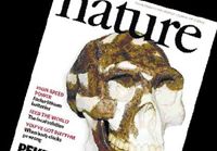 Журнал «Nature»: пекинский человек существовал уже 770 тыс. лет тому назад