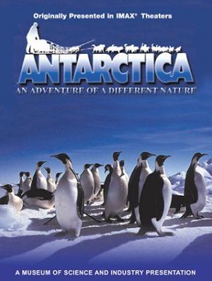 Фильмы об Антарктиде 8