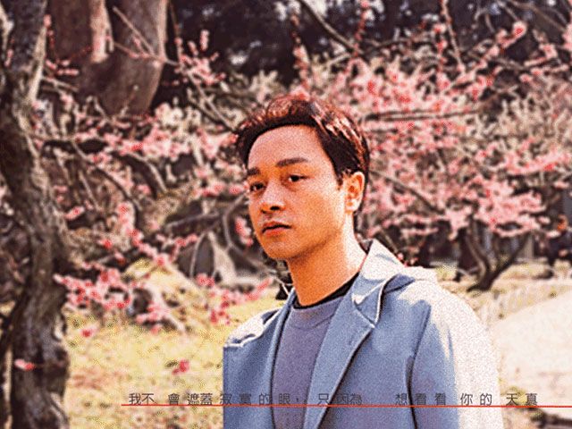 6-я годовщина со дня смерти актера и певца Чжан Гожуна 1