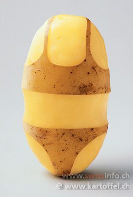 Картофельное новаторство