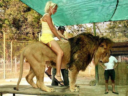Самый опасный зоопарк в мире 