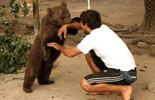 Самый опасный зоопарк в мире 