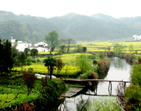 Весенняя красота в деревне Уюань! 