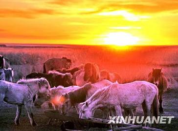 Красивые весенние пейзажи в степях автономного района Внутренняя Монголия