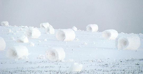 Удивительное снежное зрелище в объективе фотоаппарата американского пожарного