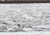 Величественное зрелище движущихся льдин на реке Хэйхэ