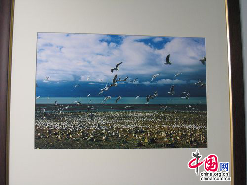 В Пекине открылась фотовыставка ?Вода и жизнь: район Саньцзянъюань в объективе фотографов?