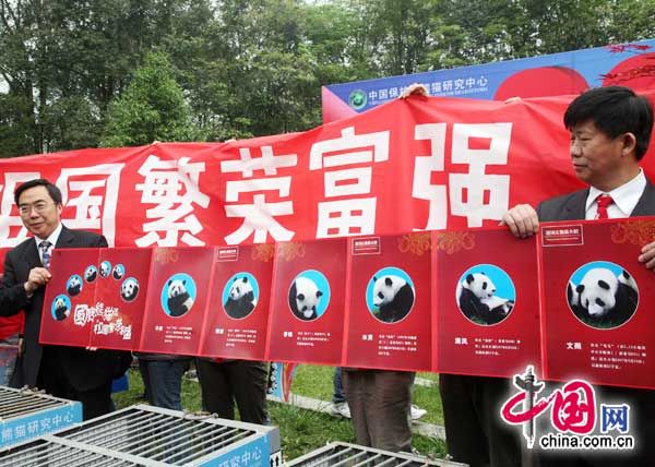 Панды прибыли в Пекин из провинции Сычуань для празднования Дня образования КНР 