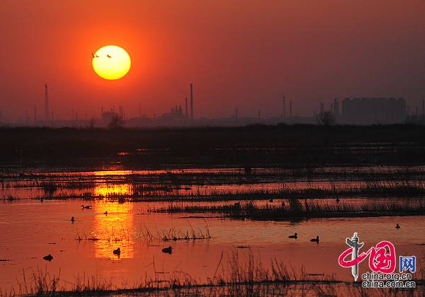 Поздняя весна в столице нефти Северного Китая – городе Дацин