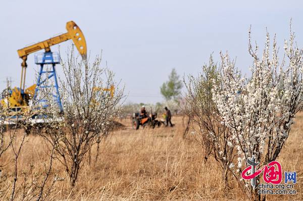 Поздняя весна в столице нефти Северного Китая – городе Дацин