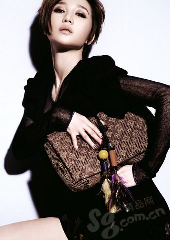 Красавица А До демонстрирует модные сумки 2009 года1