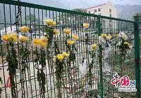 1-я годовщина землетрясения в Вэньчуане: церемония почтения памяти жертв землетрясения в школе Бэйчуань