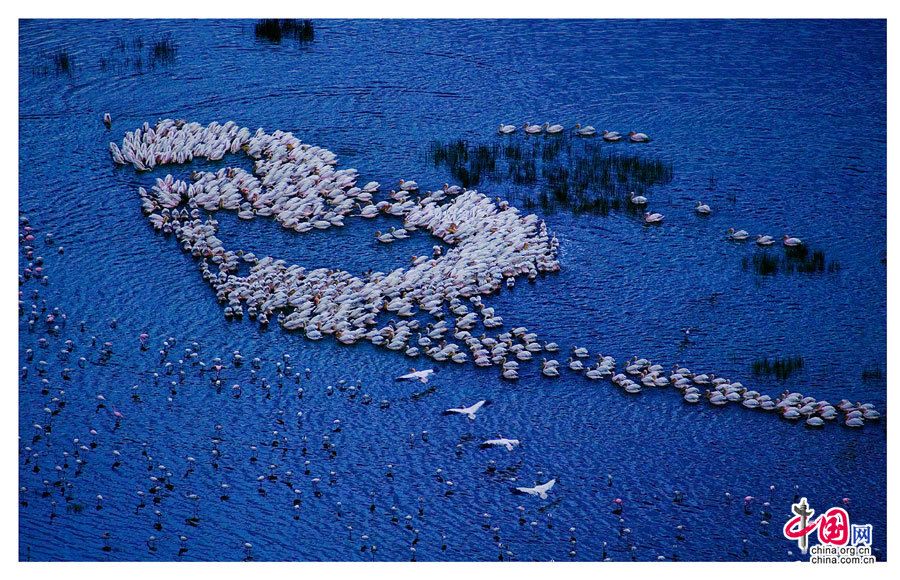 Чарующие пейзажи Африки в объективе китайского фотографа