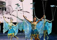 Крупномасштабное выступление с танцами и цирковыми номерами в городе Сучжоу