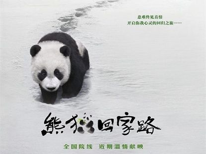 Фильм «Панда возвращается домой»