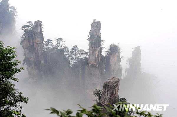 Восхитительное море облаков в лесопарке Чжанцзяцзе провинции Хунань 