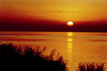 Четыре самых красивых озера в СУАР