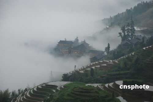 Восхитительный туман над террасовыми полями Луншэн в Гуанси-Чжуанском автономном районе 