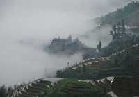 Восхитительный туман над террасовыми полями Луншэн в Гуанси-Чжуанском автономном районе