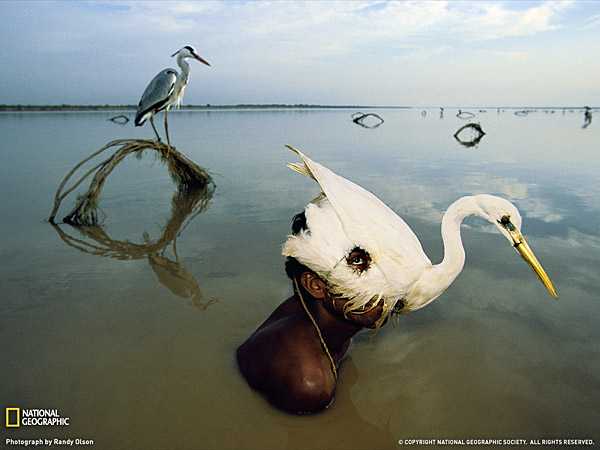 Лучшие фотографии мая по версии журнала ?National Geographic?