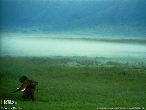 Лучшие фотографии мая по версии журнала ?National Geographic?