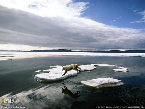 Лучшие фотографии мая по версии журнала ?National Geographic?