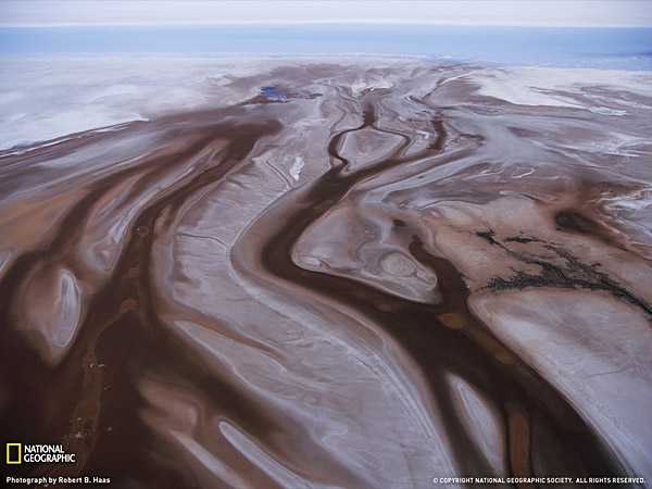 Лучшие фотографии мая по версии журнала ?National Geographic?