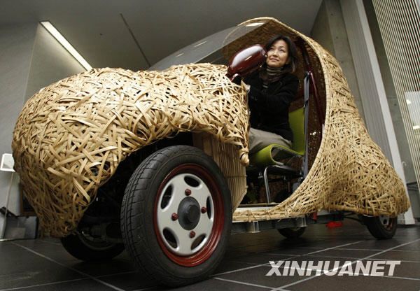 14 ноября 2008 года, в Токио Японии был продемонстрирован экологический автомобиль, изготовленный из бамбука.
