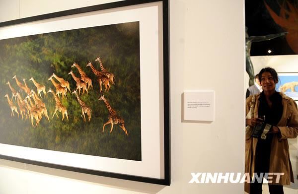 Произведения китайского фотографа выставлены в Генеральном штабе ООН