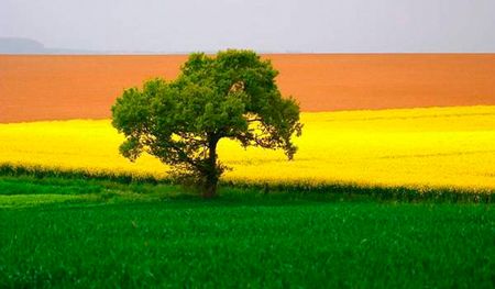 Чарующие сельские пейзажи в Бельгии