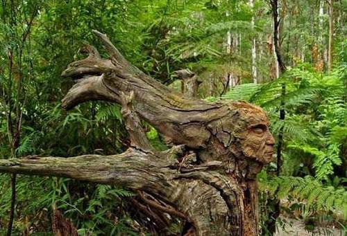 Чудесные скульптуры из дерева