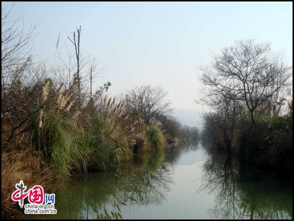 Государственный парк водно-болотных угодий Сиси 