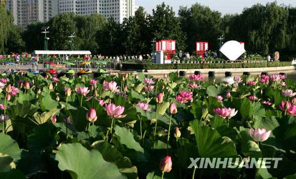 В Пекине состоялся праздник лотосов 