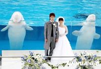 Романтическая свадьба в океанариуме
