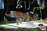 В городе Чанчжоу провинции Цзянсу расположен Парк динозавров